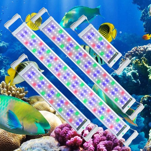 Illuminazione acquario led rgb - acquario,