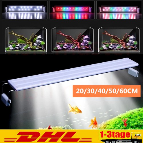 Illuminazione led acquario - illuminazione,