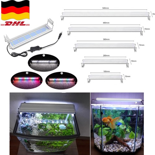 Illuminazione acquario led rgb - illuminazione,