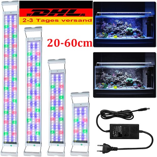 Illuminazione acquario led rgb - illuminazione,