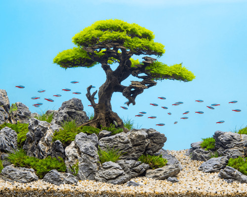 Natureholic stone bonsai - stone,