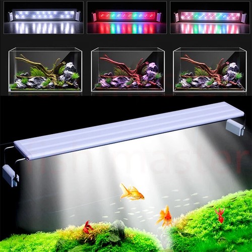 Lampada luce acquario piccola - luce,