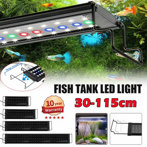 Acquario led rgb - acquario,