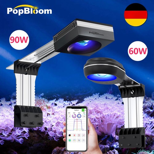 Popbloom rl60 rl90 - popbloom,