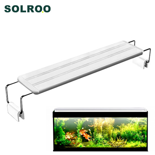 Illuminazione led per - led, acquario