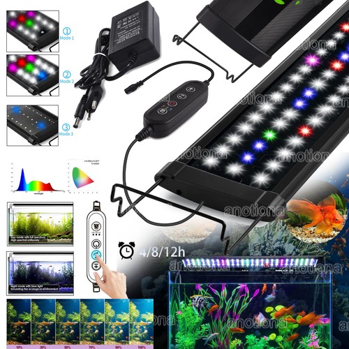 Illuminazione acquario led rgb - acquario,