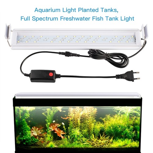 Luce led rgb 10w - 52x,