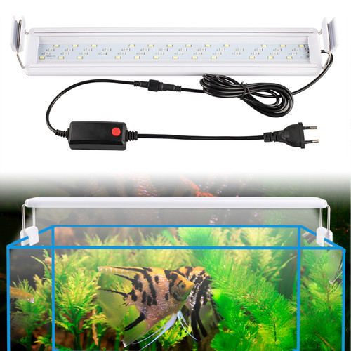 Illuminazione led per acquario - illuminazione,