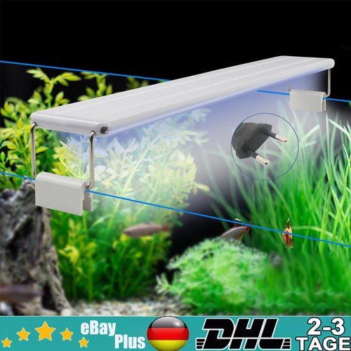 Illuminazione acquario led rgb - acquario,