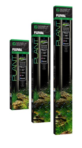 Fluval plant illuminazione - plant,