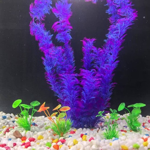 Piante per acquario 38 - pe,